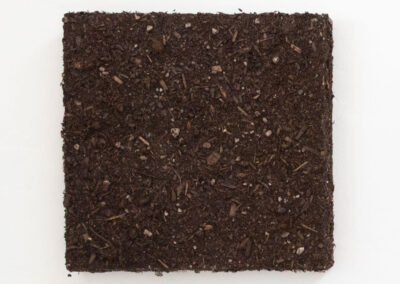 Terra Square 1, 12 x 12 in, soil, mixed media, - 2025 - Price: US$555,00