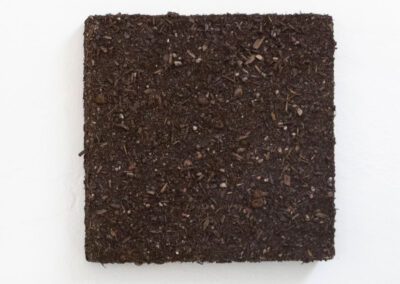 Terra Square 3, 12 x 12 in, soil, mixed media, - 2025 - Price: US$555,00