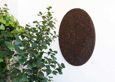 Terra Oval 1 - 23 x 36 in, soil, mixed media, - 2025 - Price: US$1.865,00