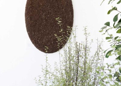 Terra Oval 2 - 23 x 36 in, soil, mixed media, - 2025 - Price: US$1.865,00